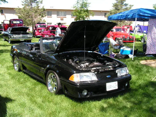 car016.webp