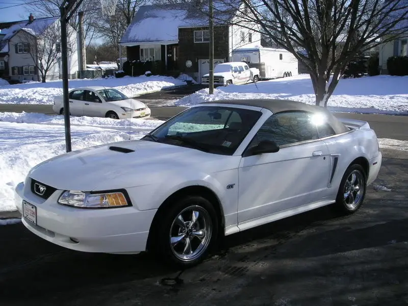 car1.webp