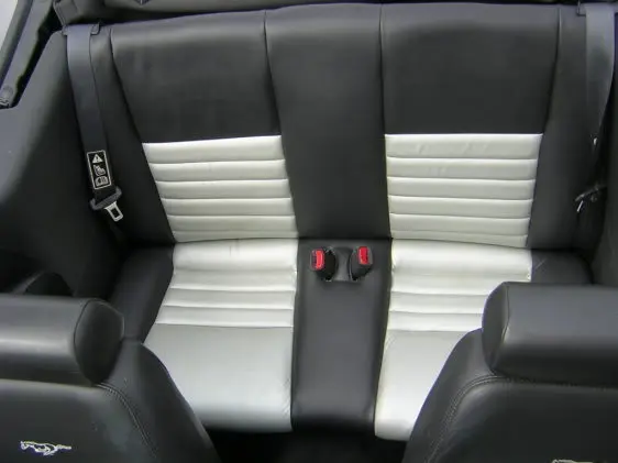car6.webp