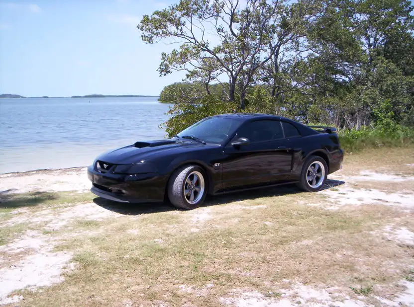 Car8.webp