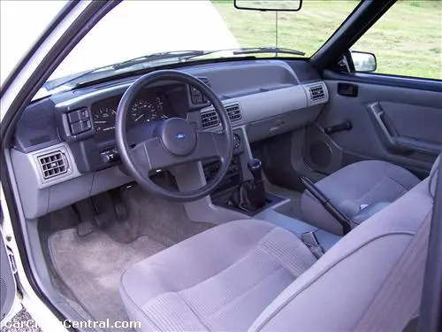 carcrazy_rad5D1E_large.webp