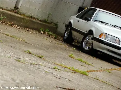 carcrazyradb81flargeyk3.webp