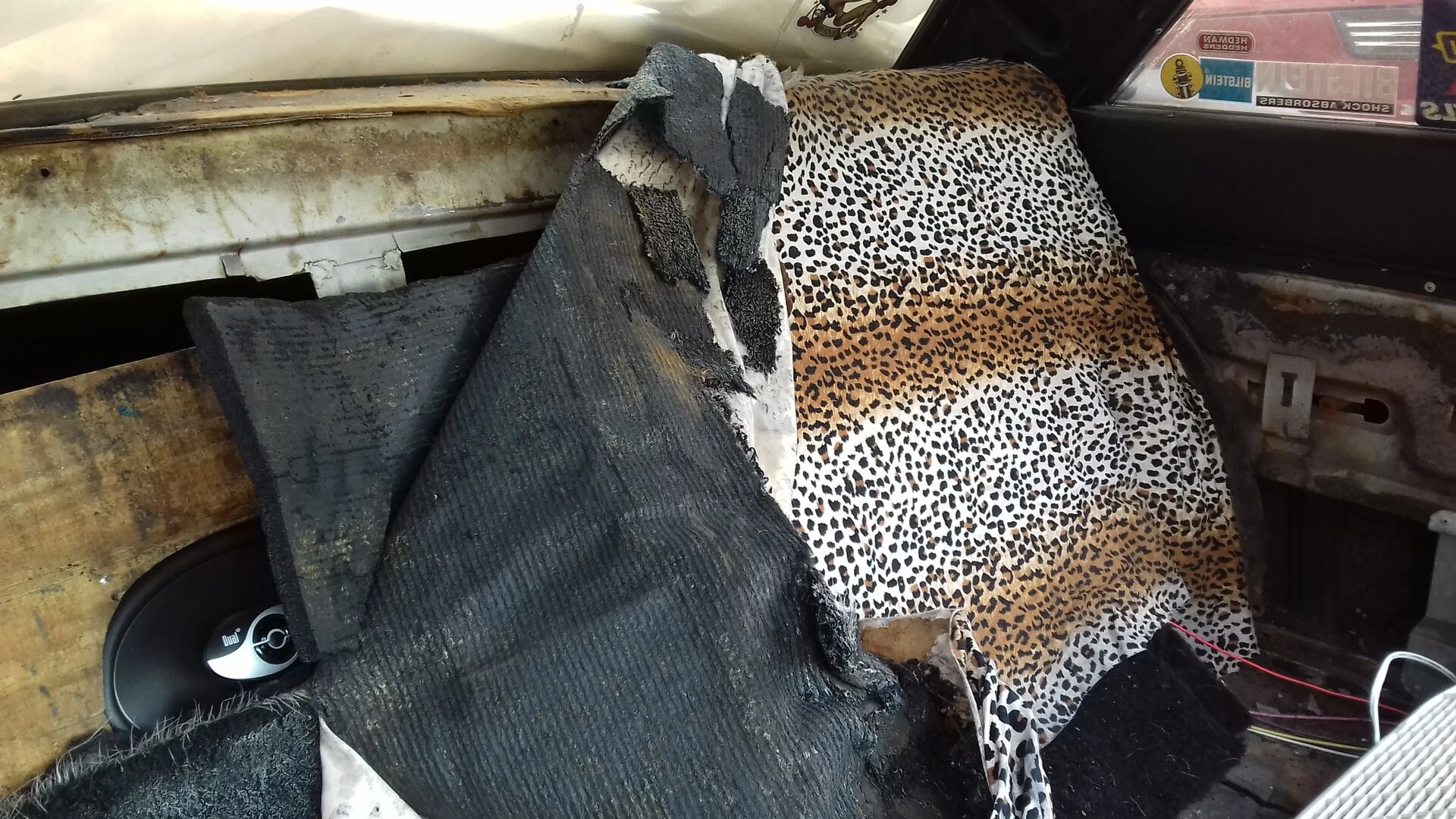 carpet mess.webp
