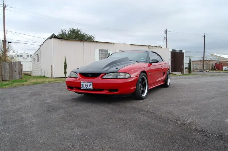 carpic13.webp