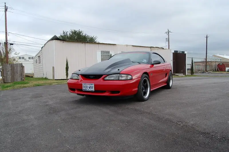 carpic14.webp