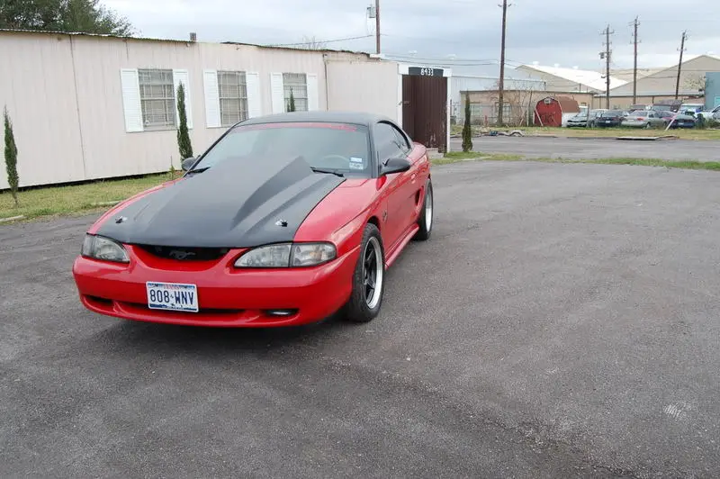 carpic5.webp