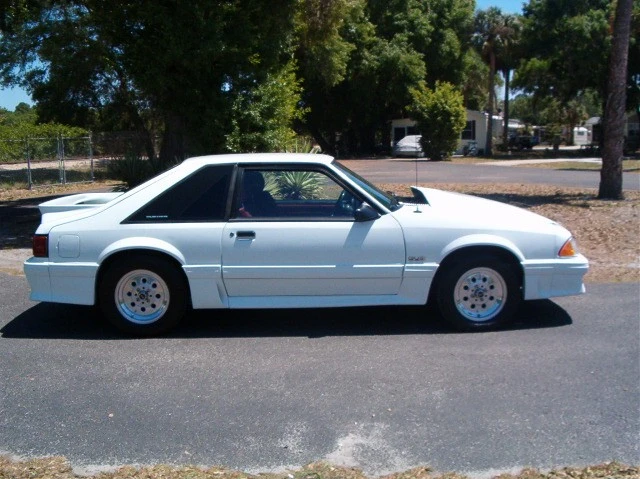 carpicture.webp