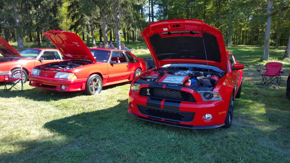carrrr.webp