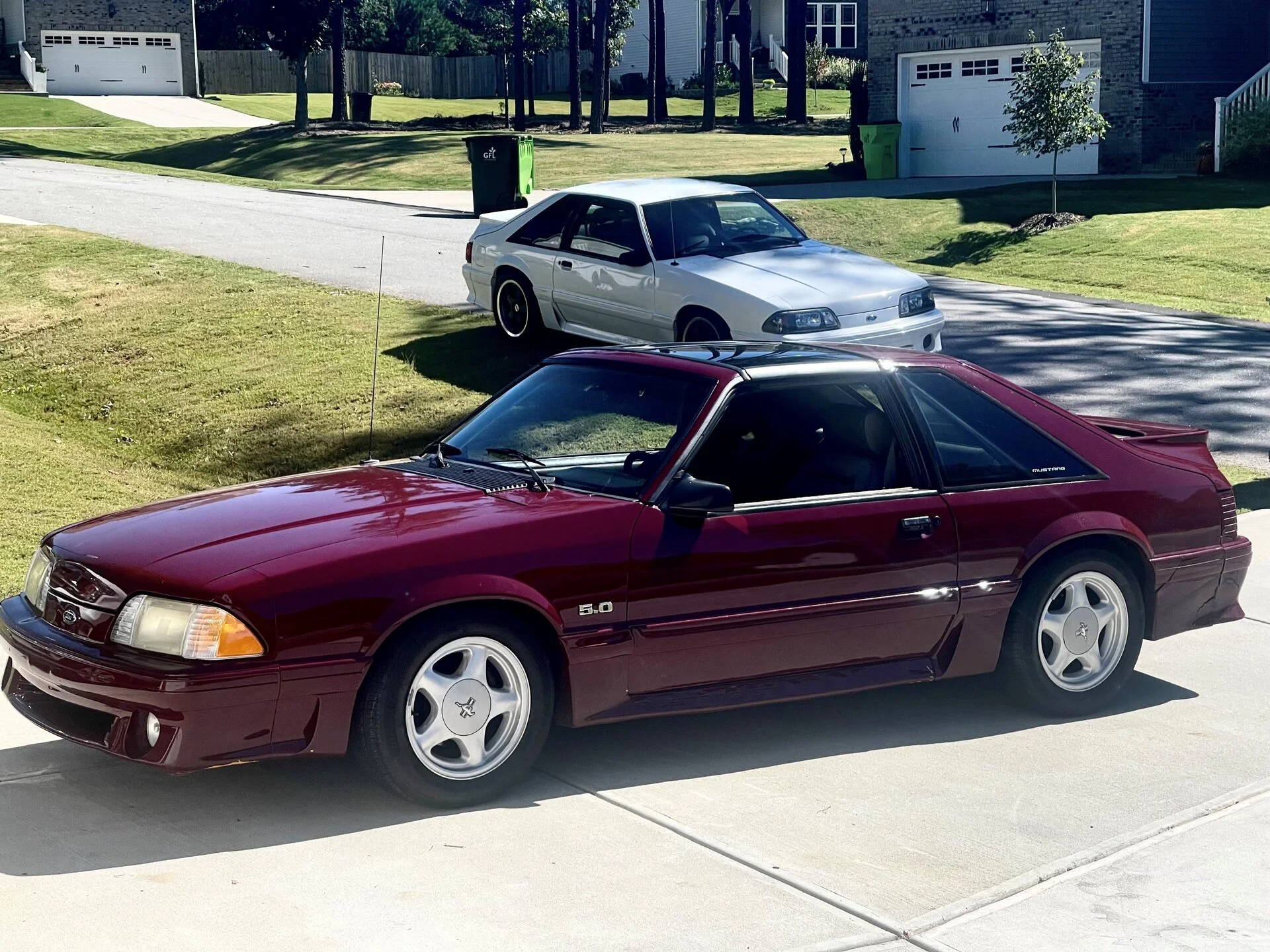 Cars.webp