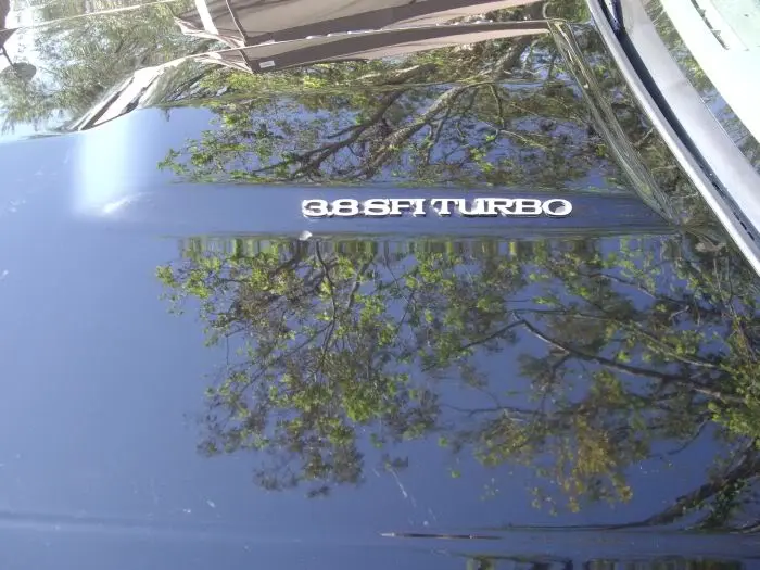 carshow005.webp