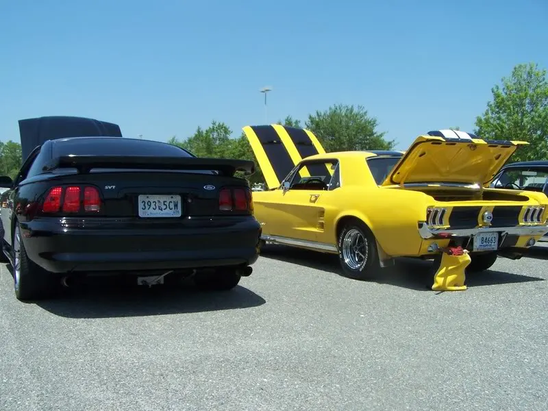 carshow011.webp