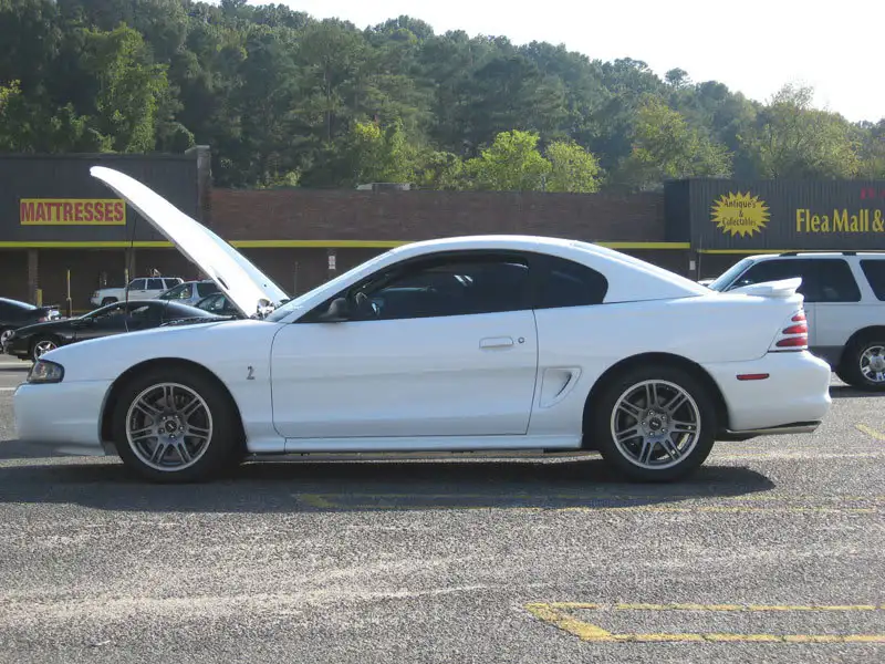 carshow1.webp