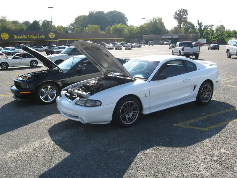 carshow2.webp