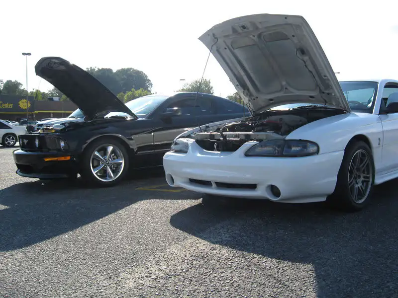 carshow3.webp