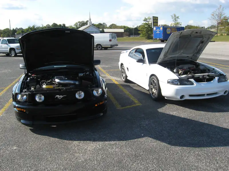 carshow4.webp