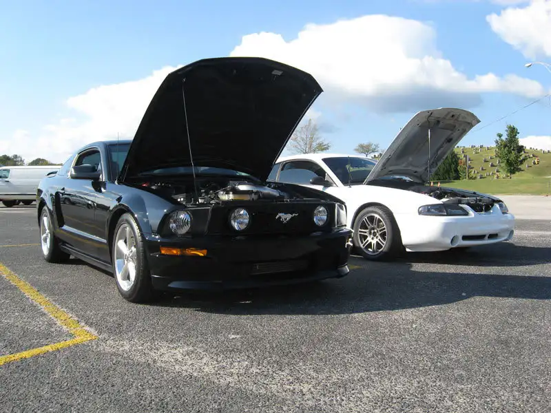 carshow5.webp