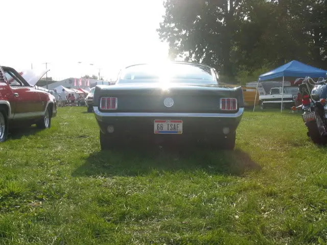 carshowpics043.webp