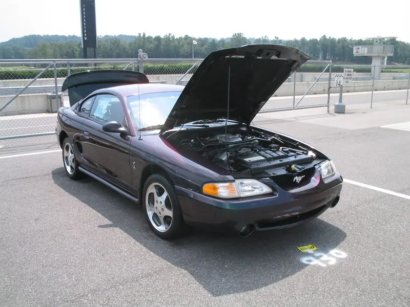 CarSShow024.webp