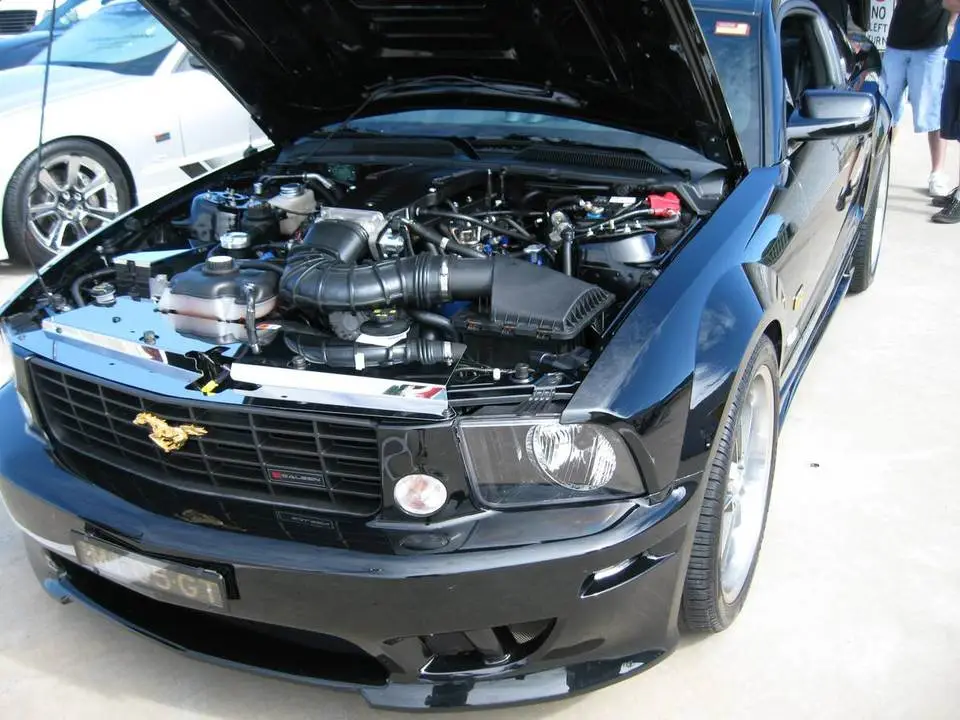 CastleHill201087.webp