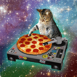 cat party.gif