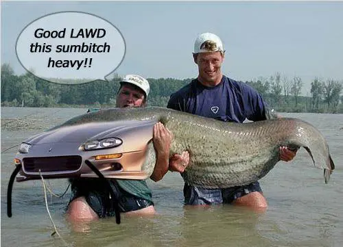 catfishcamaro.webp