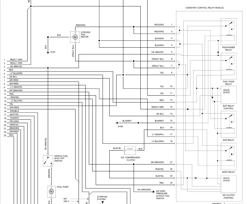 CCRM.webp