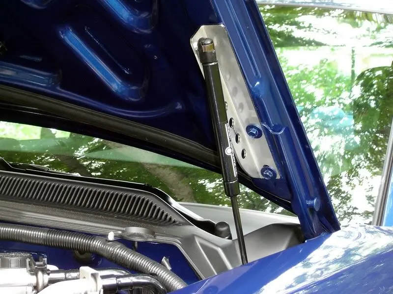 CDChoodstrut03.webp