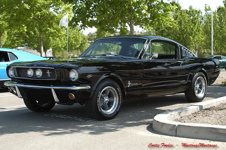 centertop%20w%20fangs%20no%20plate.webp