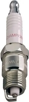 champion401.webp