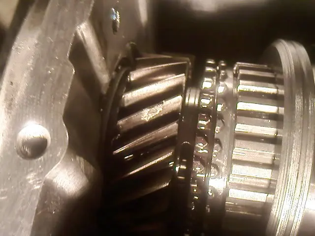 chiponfirstgear.webp