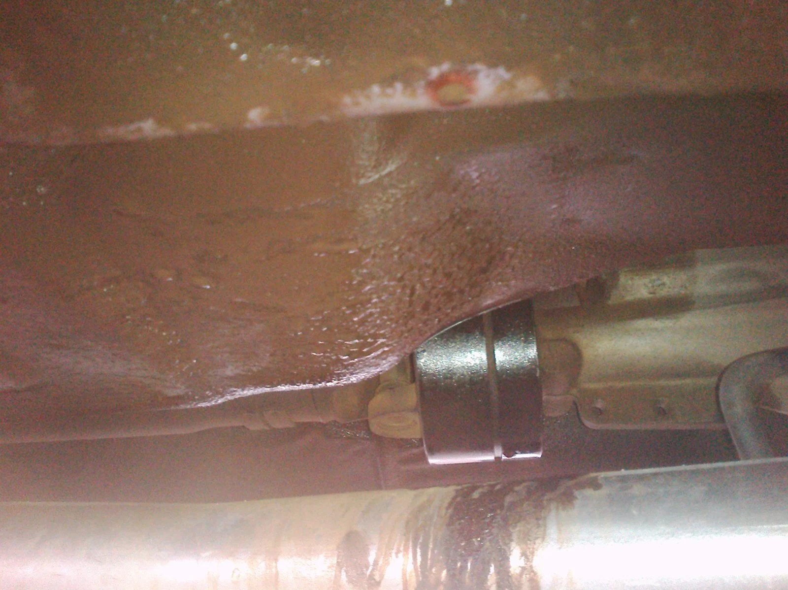 CIMG0285.webp