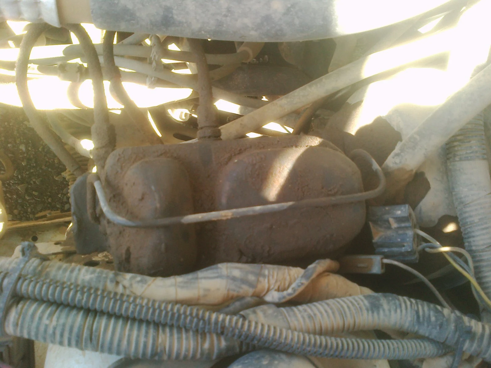 CIMG0288.webp