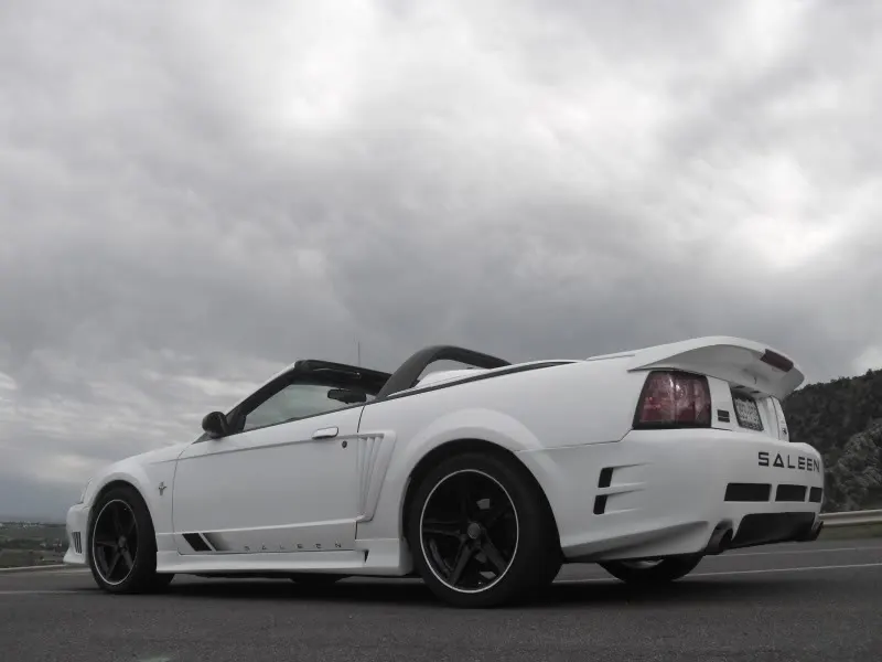 CIMG0638b.webp