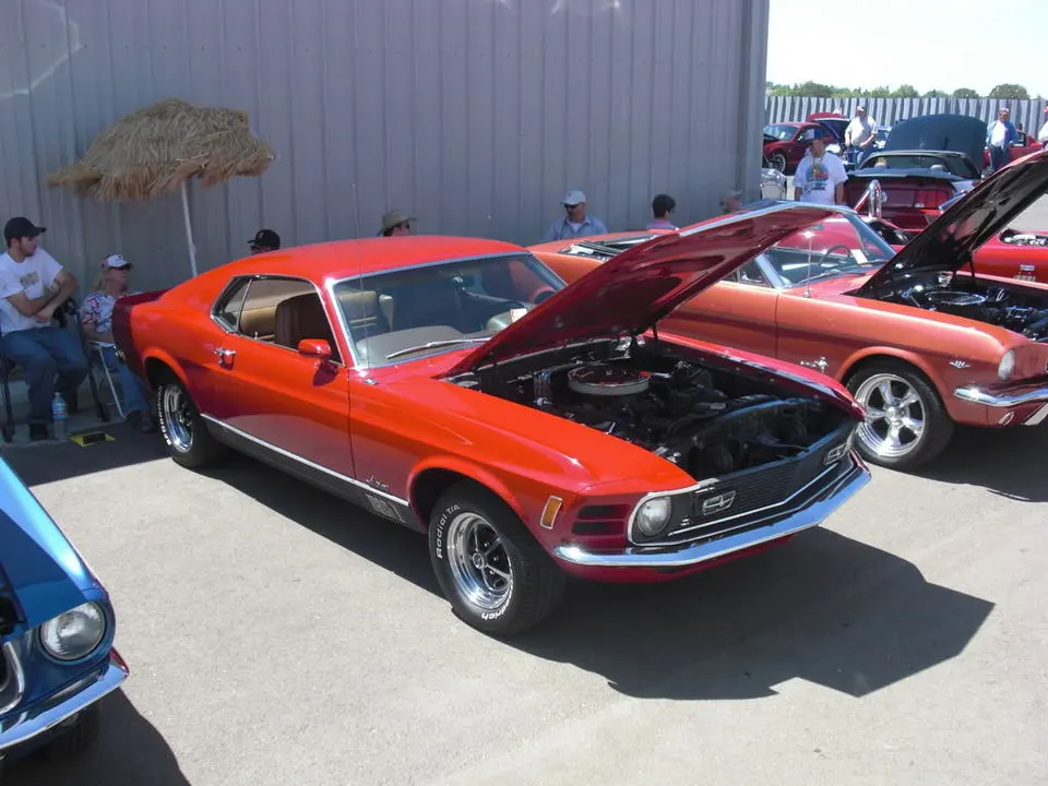 CIMG0858.webp