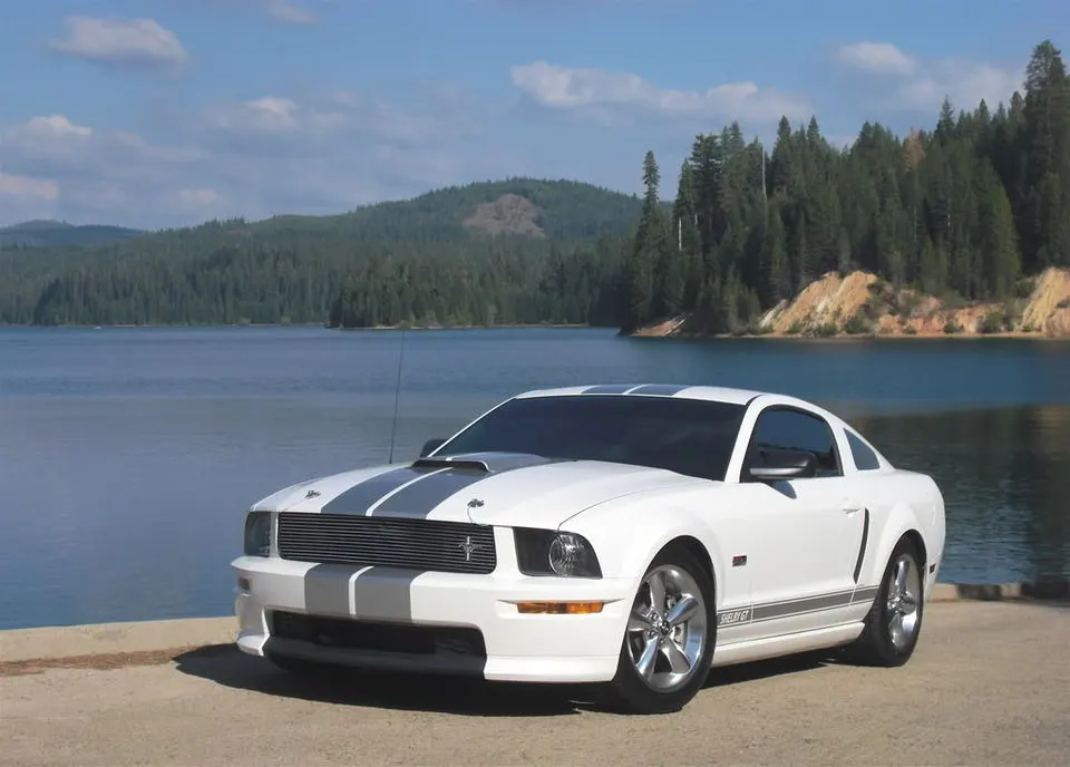 CIMG1281.webp