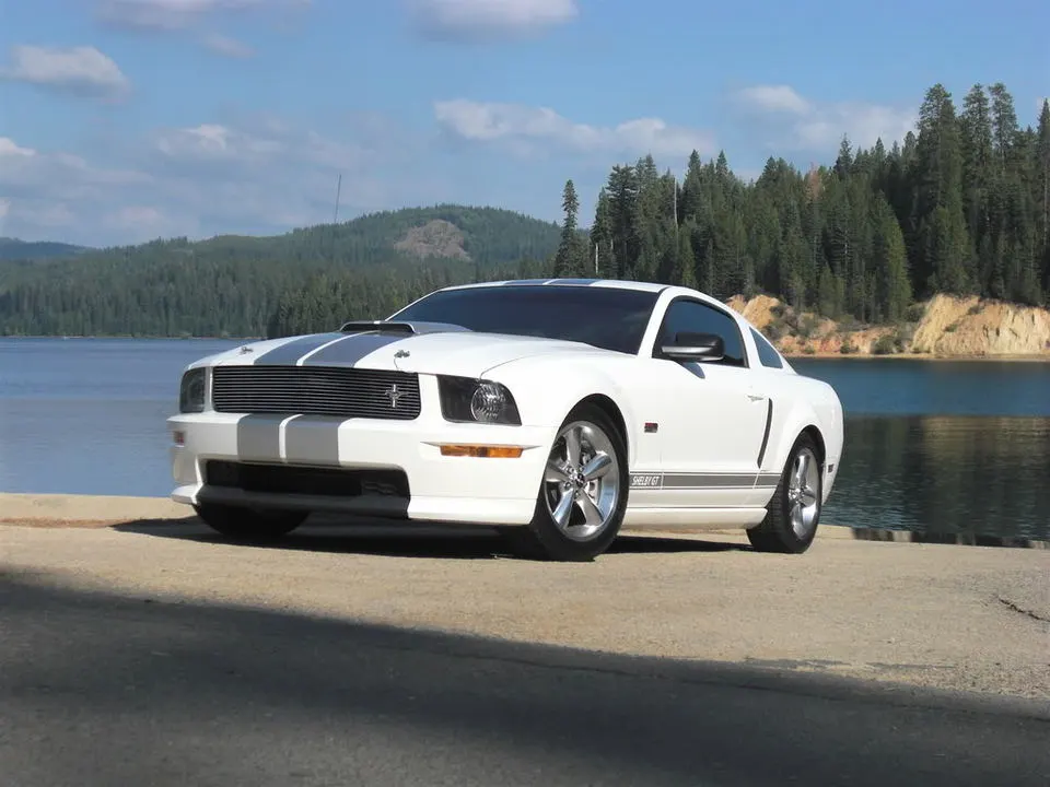 CIMG1282.webp