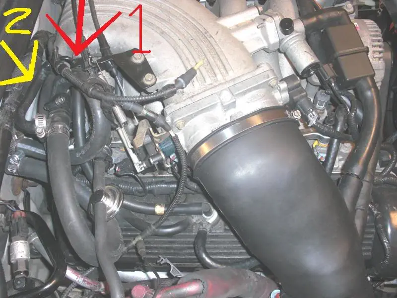 CIMG1789-1.webp
