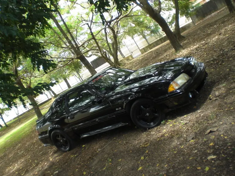 CIMG2248.webp