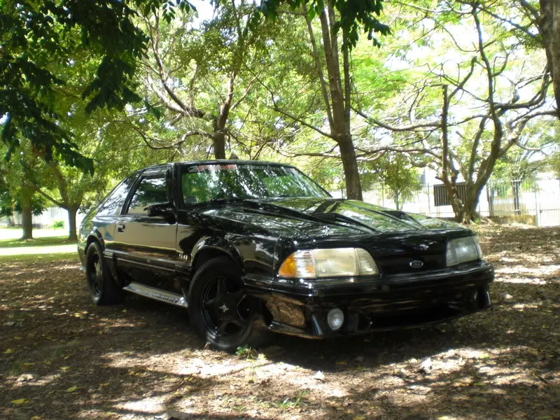 CIMG2250.webp