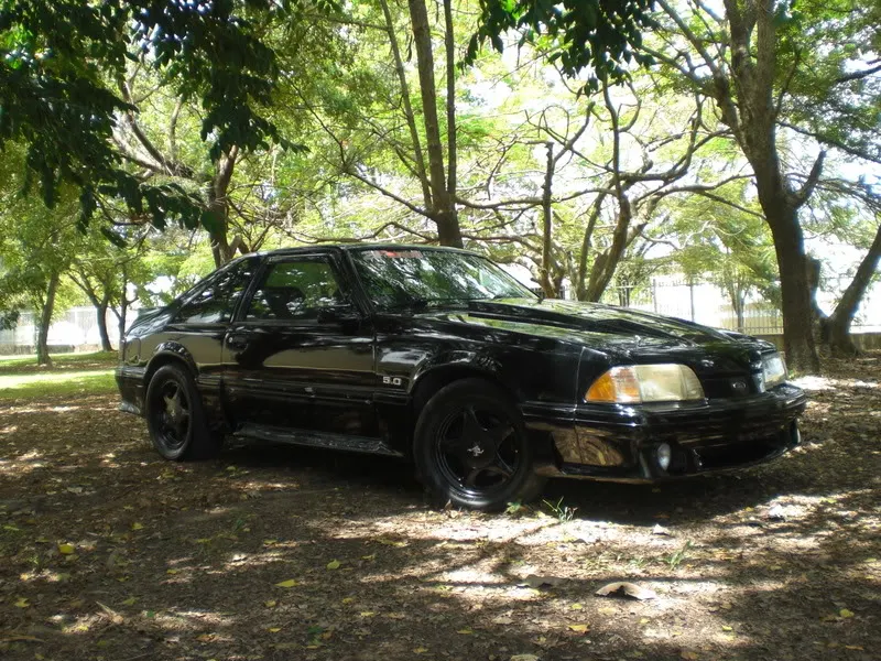 CIMG2251.webp
