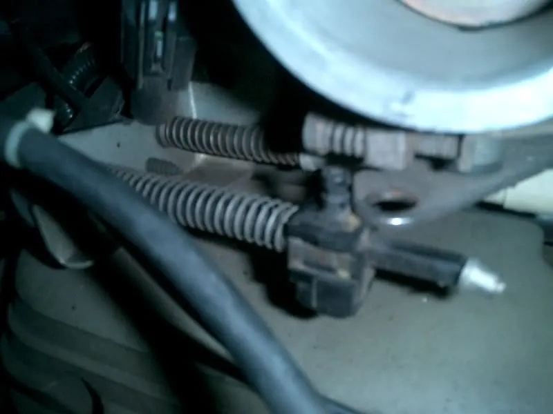 CIMG2401.webp