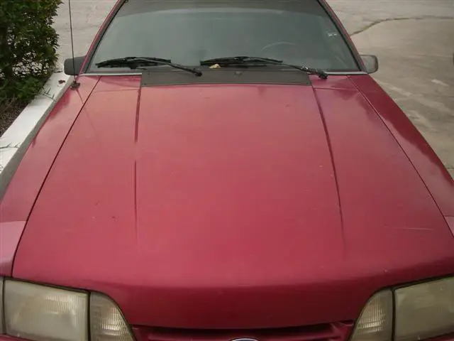 CIMG2815.webp