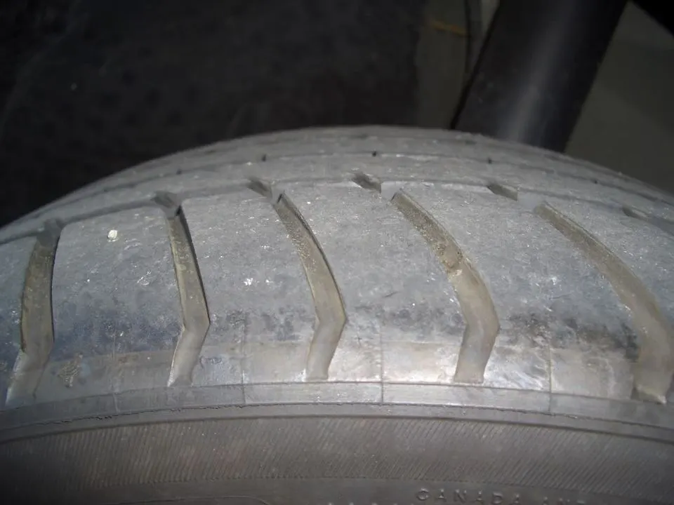 CIMG2946.webp