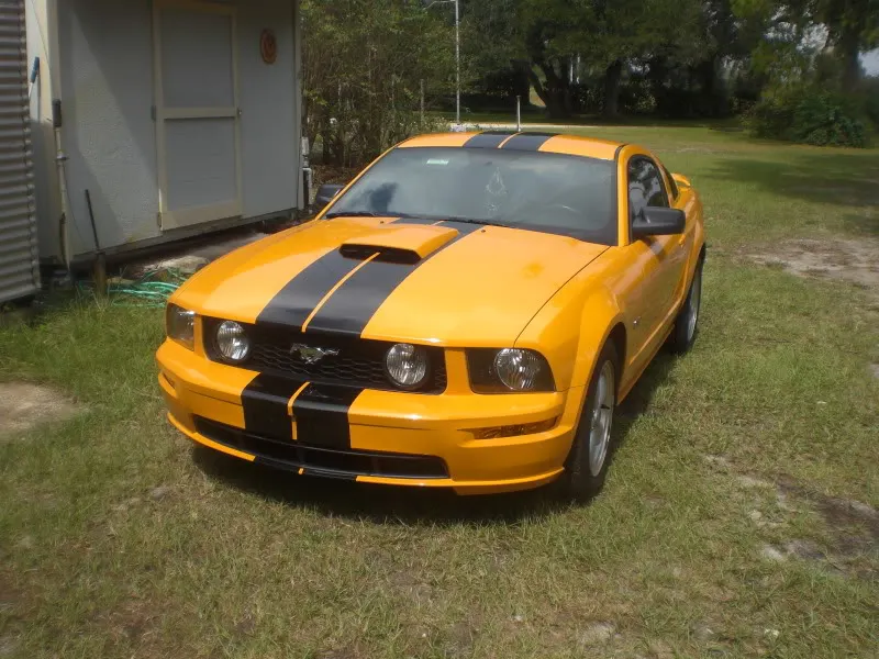 CIMG3627.webp