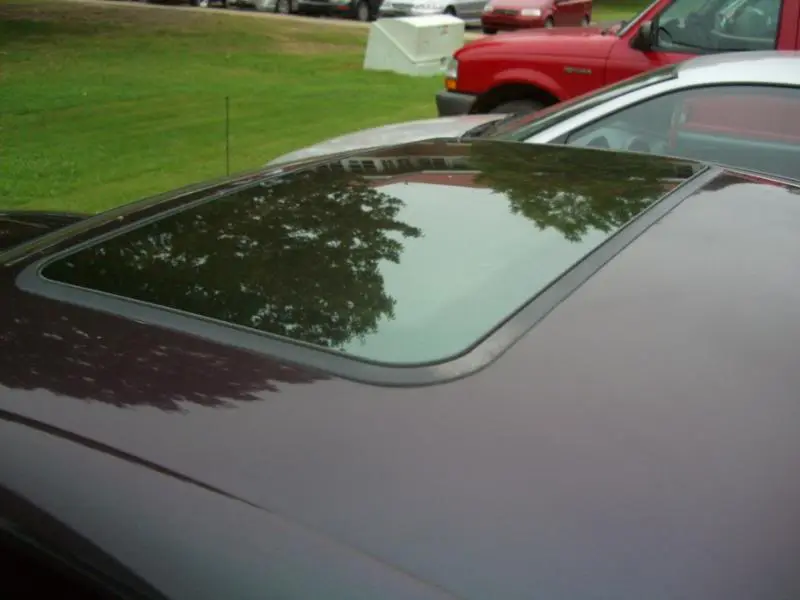 CIMG5983.webp