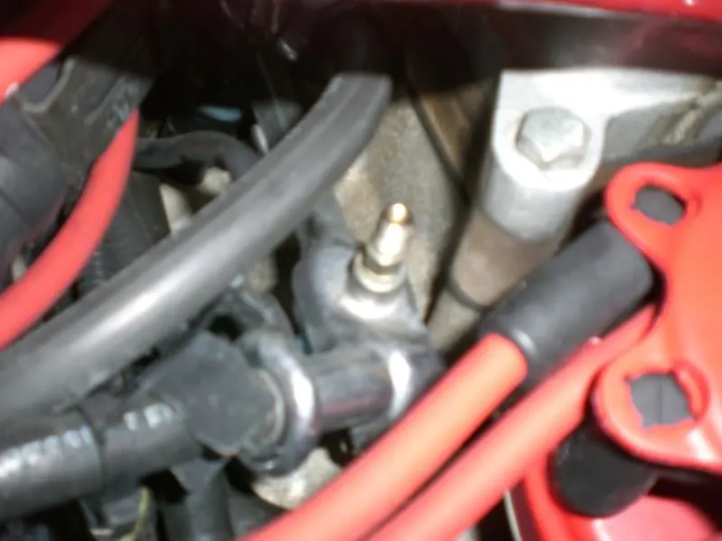 CIMG6056.webp