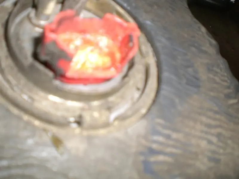 CIMG6068.webp