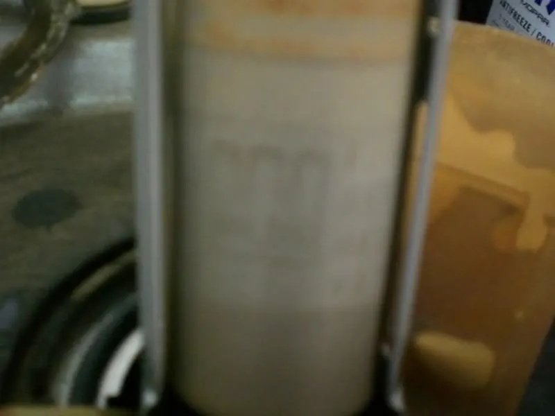 CIMG6075.webp
