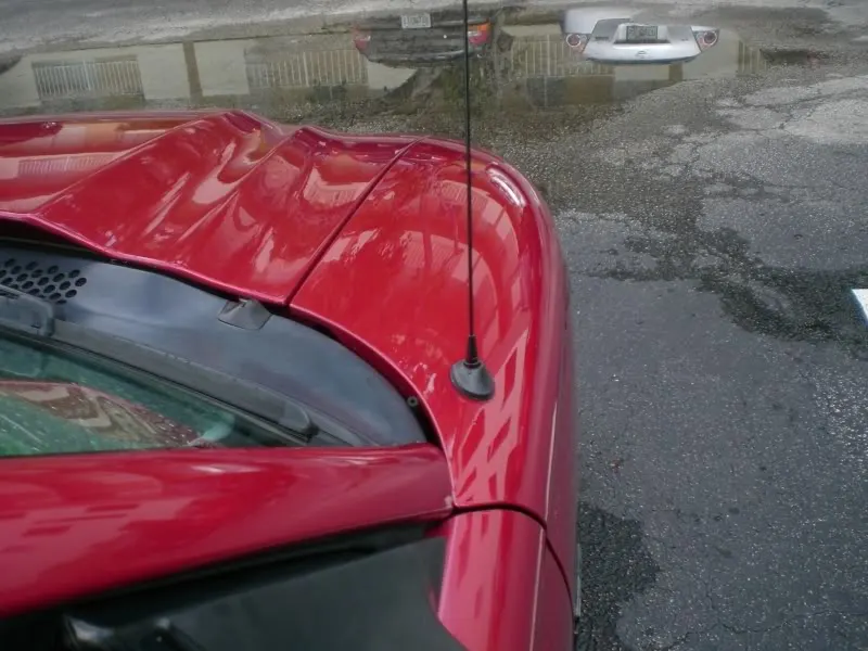 CIMG6112.webp