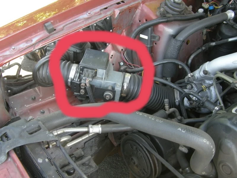 circled VAM.webp